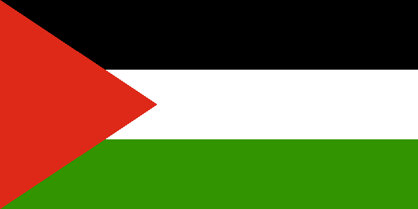 How to help Palestine as a college student
