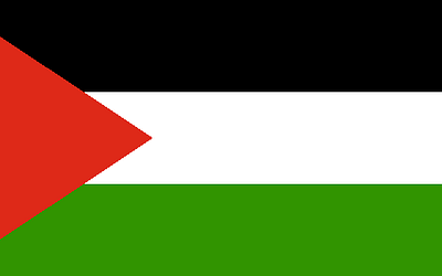How to help Palestine as a college student